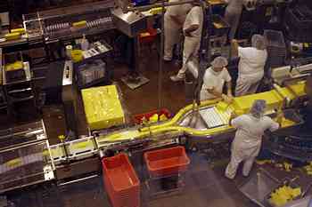 Rowley Family - Cannon Beacch Oregon - Tillamook Cheese Factory