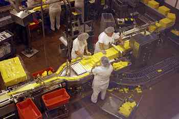 Rowley Family - Cannon Beacch Oregon - Tillamook Cheese Factory