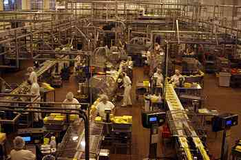 Rowley Family - Cannon Beacch Oregon - Tillamook Cheese Factory