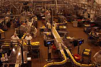 Rowley Family - Cannon Beacch Oregon - Tillamook Cheese Factory