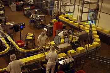 Rowley Family - Cannon Beacch Oregon - Tillamook Cheese Factory