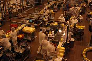 Rowley Family - Cannon Beacch Oregon - Tillamook Cheese Factory