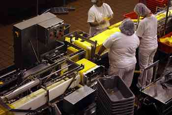 Rowley Family - Cannon Beacch Oregon - Tillamook Cheese Factory