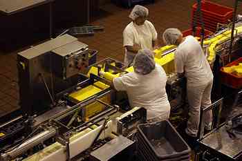 Rowley Family - Cannon Beacch Oregon - Tillamook Cheese Factory