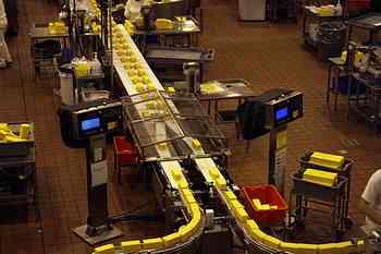 Rowley Family - Cannon Beacch Oregon - Tillamook Cheese Factory