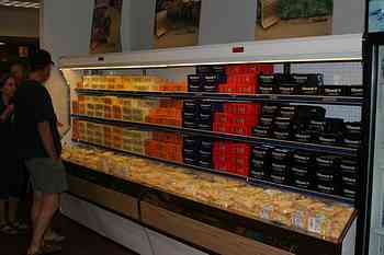 Rowley Family - Cannon Beacch Oregon - Tillamook Cheese Factory