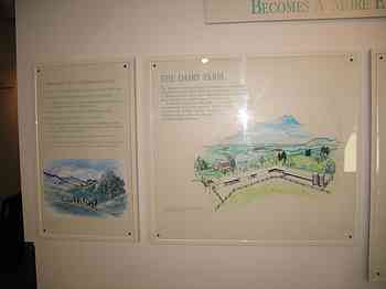 Rowley Family - Cannon Beacch Oregon - Tillamook Cheese Factory