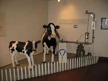 Rowley Family - Cannon Beacch Oregon - Tillamook Cheese Factory