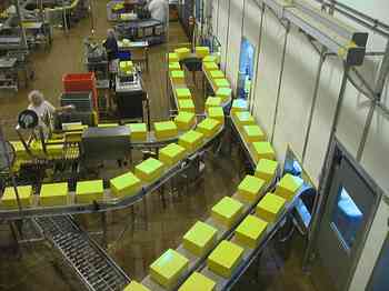 Rowley Family - Cannon Beacch Oregon - Tillamook Cheese Factory