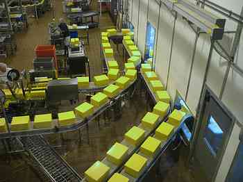 Rowley Family - Cannon Beacch Oregon - Tillamook Cheese Factory