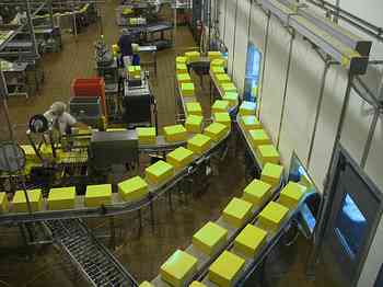 Rowley Family - Cannon Beacch Oregon - Tillamook Cheese Factory