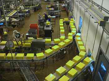 Rowley Family - Cannon Beacch Oregon - Tillamook Cheese Factory