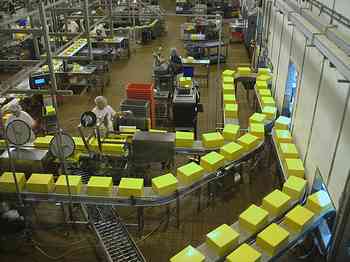 Rowley Family - Cannon Beacch Oregon - Tillamook Cheese Factory