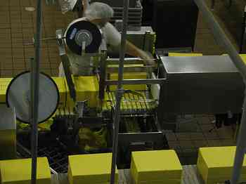 Rowley Family - Cannon Beacch Oregon - Tillamook Cheese Factory
