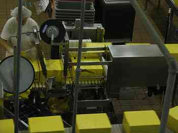 Rowley Family - Cannon Beacch Oregon - Tillamook Cheese Factory