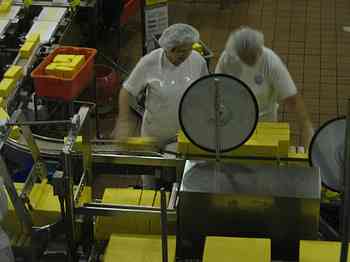 Rowley Family - Cannon Beacch Oregon - Tillamook Cheese Factory