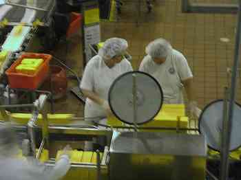 Rowley Family - Cannon Beacch Oregon - Tillamook Cheese Factory