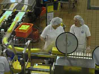 Rowley Family - Cannon Beacch Oregon - Tillamook Cheese Factory