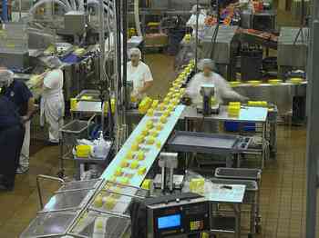 Rowley Family - Cannon Beacch Oregon - Tillamook Cheese Factory