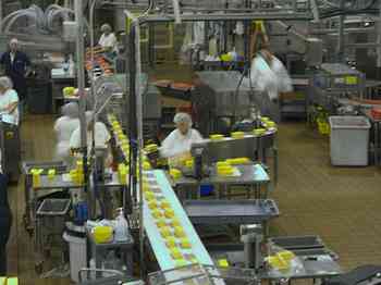 Rowley Family - Cannon Beacch Oregon - Tillamook Cheese Factory