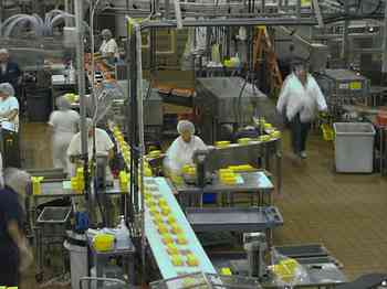 Rowley Family - Cannon Beacch Oregon - Tillamook Cheese Factory