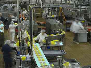 Rowley Family - Cannon Beacch Oregon - Tillamook Cheese Factory
