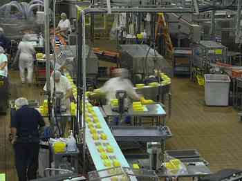Rowley Family - Cannon Beacch Oregon - Tillamook Cheese Factory