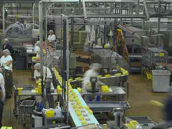 Rowley Family - Cannon Beacch Oregon - Tillamook Cheese Factory