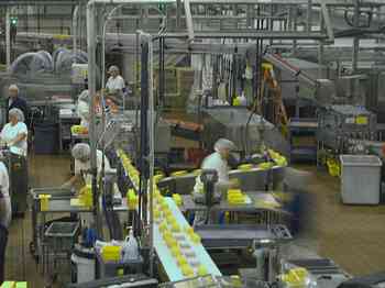 Rowley Family - Cannon Beacch Oregon - Tillamook Cheese Factory