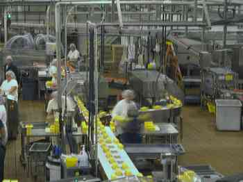 Rowley Family - Cannon Beacch Oregon - Tillamook Cheese Factory