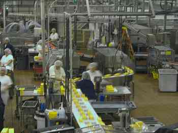 Rowley Family - Cannon Beacch Oregon - Tillamook Cheese Factory