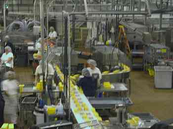 Rowley Family - Cannon Beacch Oregon - Tillamook Cheese Factory