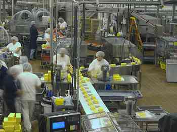 Rowley Family - Cannon Beacch Oregon - Tillamook Cheese Factory