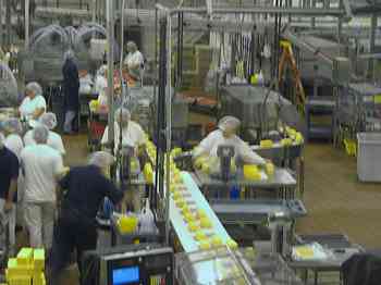 Rowley Family - Cannon Beacch Oregon - Tillamook Cheese Factory