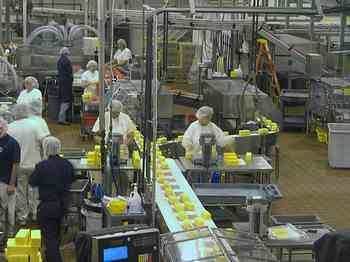 Rowley Family - Cannon Beacch Oregon - Tillamook Cheese Factory