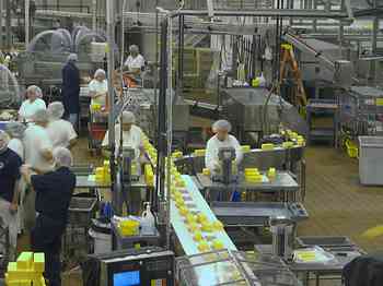 Rowley Family - Cannon Beacch Oregon - Tillamook Cheese Factory
