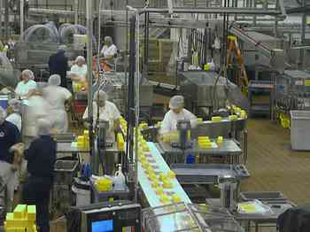 Rowley Family - Cannon Beacch Oregon - Tillamook Cheese Factory