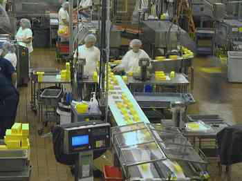 Rowley Family - Cannon Beacch Oregon - Tillamook Cheese Factory