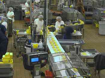 Rowley Family - Cannon Beacch Oregon - Tillamook Cheese Factory