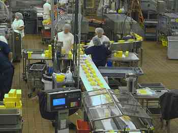 Rowley Family - Cannon Beacch Oregon - Tillamook Cheese Factory