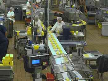 Rowley Family - Cannon Beacch Oregon - Tillamook Cheese Factory
