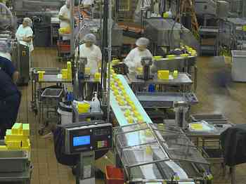 Rowley Family - Cannon Beacch Oregon - Tillamook Cheese Factory