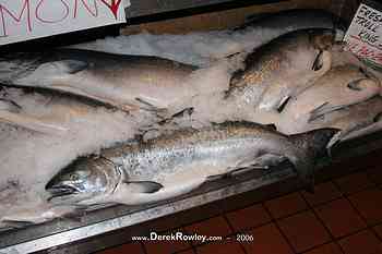 Rowley Family - Seattle Undergroud Tour - Pikes Place Market