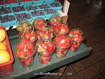 Rowley Family - Seattle Undergroud Tour - Pikes Place Market