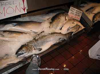Rowley Family - Seattle Undergroud Tour - Pikes Place Market