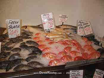 Rowley Family - Seattle Undergroud Tour - Pikes Place Market